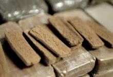 Photo of مروجا الكيف في قبضة الأمن