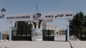 Photo of 11 تخصصا جديدا للطلبة