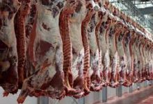 Photo of 150 نقطة بيع للحوم الحمراء خلال رمضان