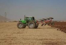 Photo of ألف هكتار لزراعة الحبوب
