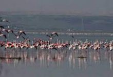 Photo of الجفاف يهدد بحيرة  تيلامين