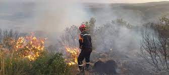 Photo of الحرائق أتلفت 288 هكتاراً