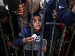 Photo of القتل بالمجاعة في غزة جريمة حرب ضد الإنسانية