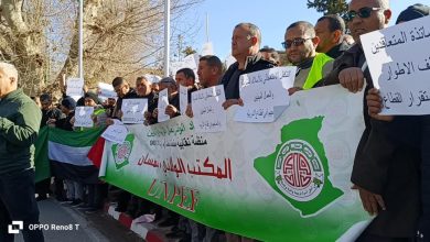 Photo of شلل في قطاع التربية بتلمسان