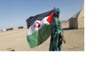 Photo of النساء الصحراويات… قصة كفاح و صمود