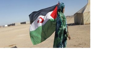 Photo of النساء الصحراويات… قصة كفاح و صمود
