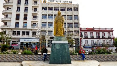 Photo of معسكر تحتفي بالسلام