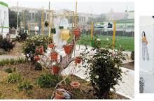 Photo of تجهيزات لـ 65 ناديا أخضرا