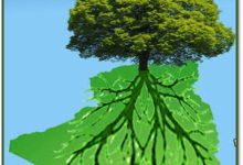 Photo of خضراء بإذن الله