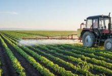 Photo of 35ر121 هكتارا فلاحية بقيت بور