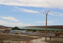 Photo of مستثمرون فاشلون بتيسمسيلت