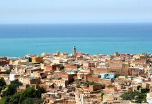 Photo of تطهير العقار الفلاحي بمستغانم