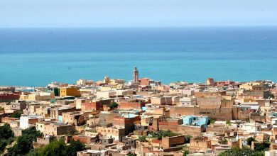 Photo of تطهير العقار الفلاحي بمستغانم