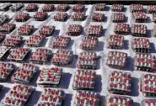 Photo of إحباط صفقة  4175  مهلوس