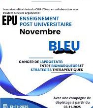 Photo of حملة نوفمبر الأزرق بوهران وتيسمسيلت