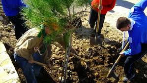 Photo of رهان بمحافظة الغابات