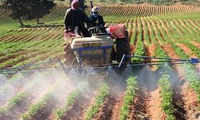 Photo of 16277 هكتار للإستثمار الفلاحي