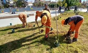 Photo of غرس 3 آلاف شجيرة