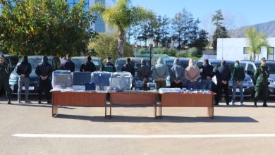 Photo of تلاعبات في  تسويق مركبات ” فيات”