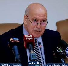 Photo of كل الضمانات تم توفيرها لتحسين مناخ الاستثمار