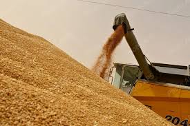 Photo of تسخير كافة الإمكانيات للرفع من طاقة إنتاج الحبوب