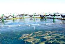 Photo of تكوين  لنزلاء المؤسسات العقابية بوهران