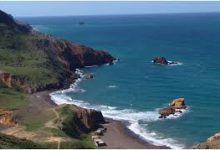 Photo of لجنة للتحضير لموسم الصيف