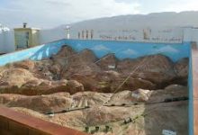 Photo of إفري لبلح …المعركة التي تدرس