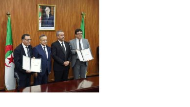 Photo of شبكة موضوعاتية في علوم التربية والتكوين