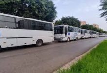 Photo of جهود لتحسين النقل العمومي