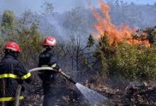 Photo of مخطط لمكافحة حرائق الغابات