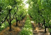 Photo of تعزيز المرافقة لهذا البرنامج بوهران