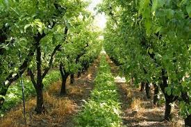 Photo of تعزيز المرافقة لهذا البرنامج بوهران