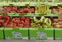 Photo of طفرة في إنتاج الخضروات  بمعسكر