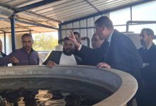 Photo of وفد وزاري يفتش مفرخة  الطابية  ووحدة الأعلاف