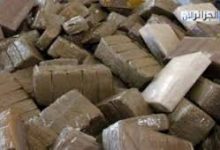 Photo of إحباط تهريب 555 كلغ من الكيف