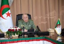 Photo of الجزائر صامدة بفضل ثلاثة ركائز أساسية