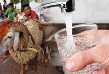 Photo of سيور تتجند ليوم العيد