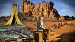 Photo of تسجيل 280 مشروعا استثماريا في القطاع السياحي