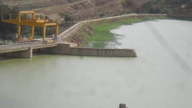 Photo of لجنة وزارية تفتش سد  فرقوق