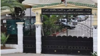 Photo of وزارة التضامن تتكفل ب40 ألف تلميذ