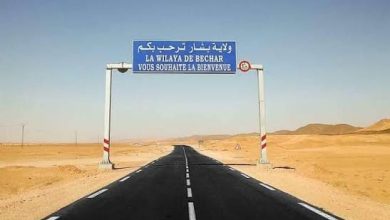 Photo of بشار تنفض الغبار عن  ثرواتها