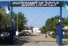 Photo of مستغانم تحتضن جدلية التاريخ والأدب