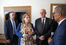 Photo of السينماتيك تحتضن فيلم “فان غوغ وأنا”