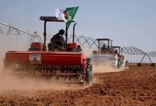 Photo of الجزائر تستهدف تسويق 3 ملايين قنطار من البذور