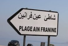 Photo of مشاريع استثمارية ..قريبا بوهران