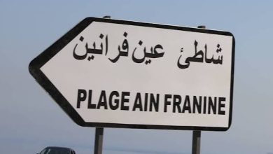 Photo of مشاريع استثمارية ..قريبا بوهران
