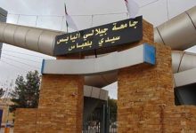Photo of خبراء يشرحون أسباب الصعود الأكاديمي للجامعات