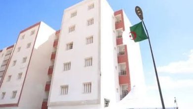 Photo of قرابة 700 سكن تسلم في نوفمبر بمعسكر